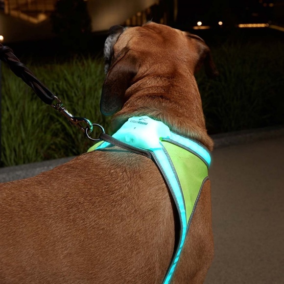 Noxgear | LightHound | Multi-Color Dog Light Harness | Medium | New in Box - Picture 4 of 16